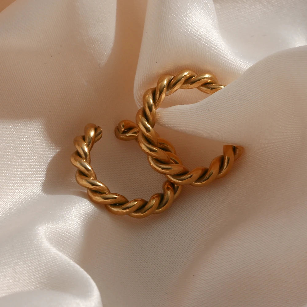 Larissa earrings